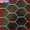 galvanized and Pvc coated hexagonal wire mesh